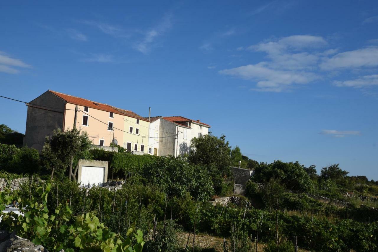 Accommodation Lily Vrana  Bagian luar foto